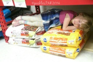 Photo of Molly sleeping in on top of bags of dog food in a store.